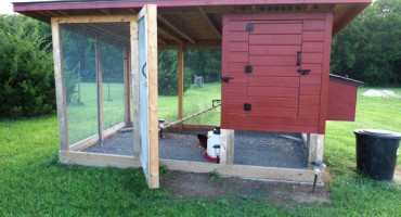 Jak postavit dodonovův kurník